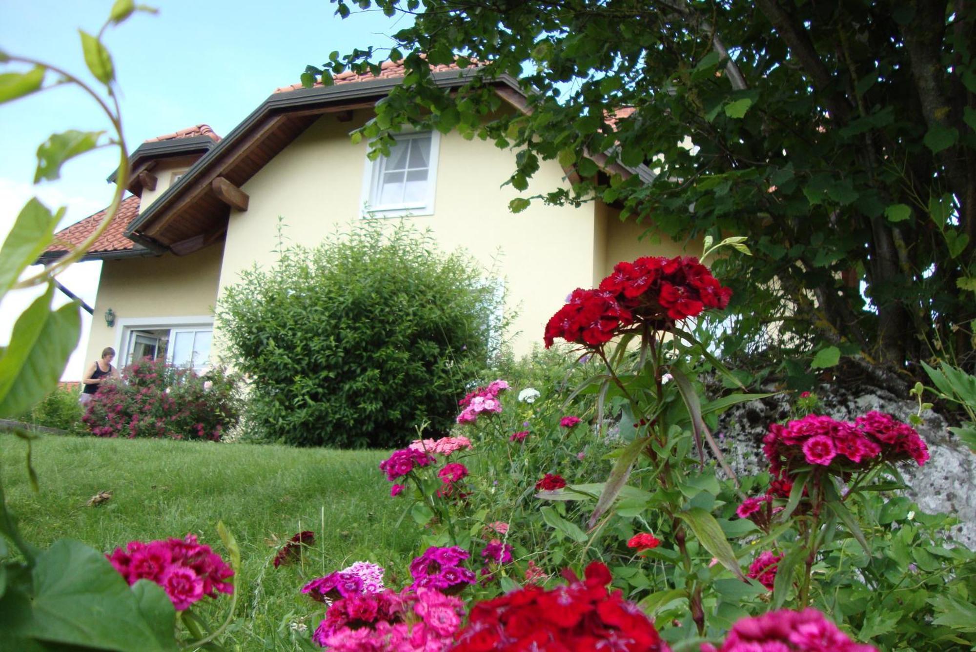Bed And Breakfast Trnje Pivka Exterior foto