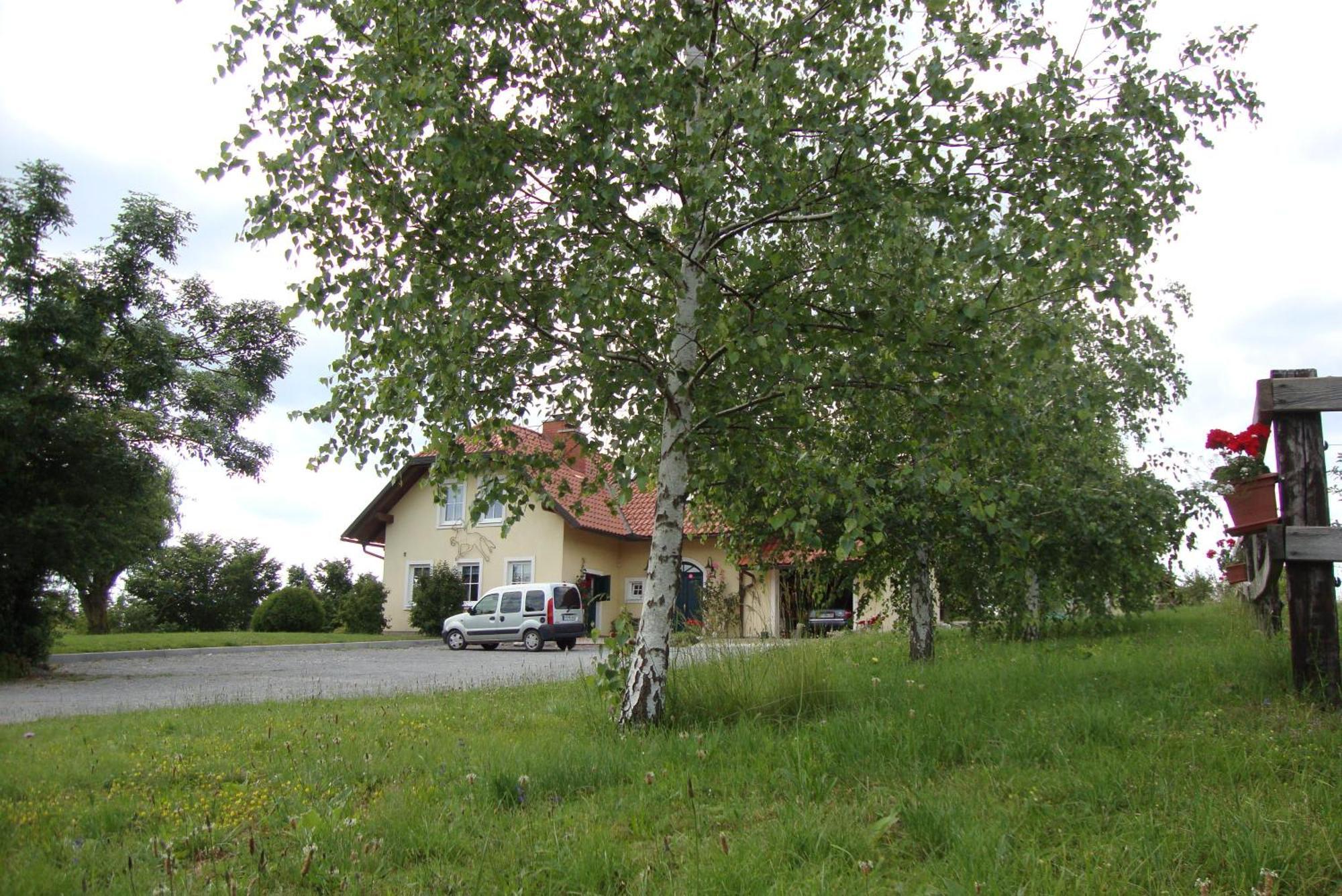 Bed And Breakfast Trnje Pivka Exterior foto