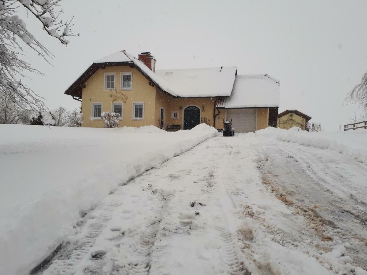 Bed And Breakfast Trnje Pivka Exterior foto