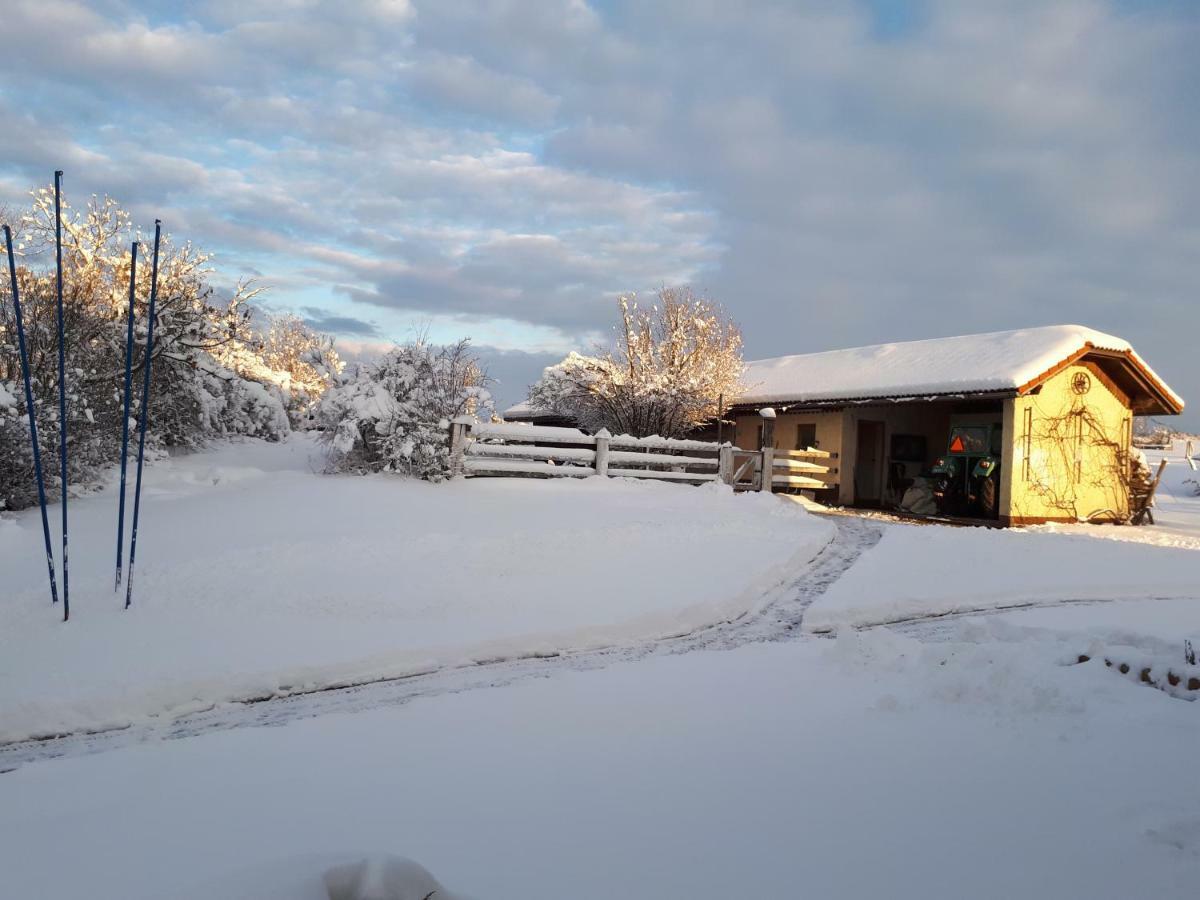 Bed And Breakfast Trnje Pivka Exterior foto